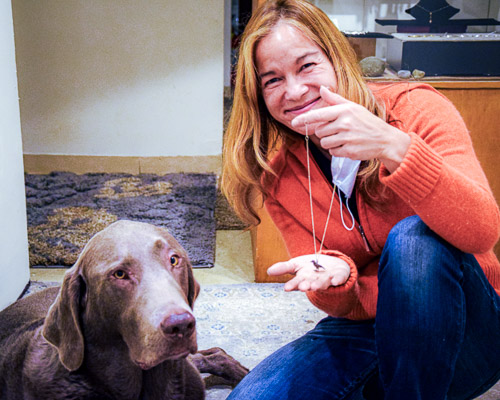 Tarrytown, NY - Oct 2020